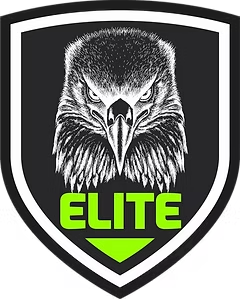 Elite Segurança